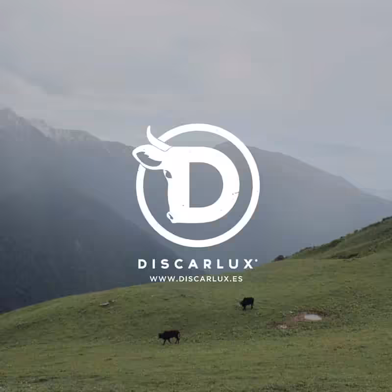 Portada del proyecto web de Discarlux