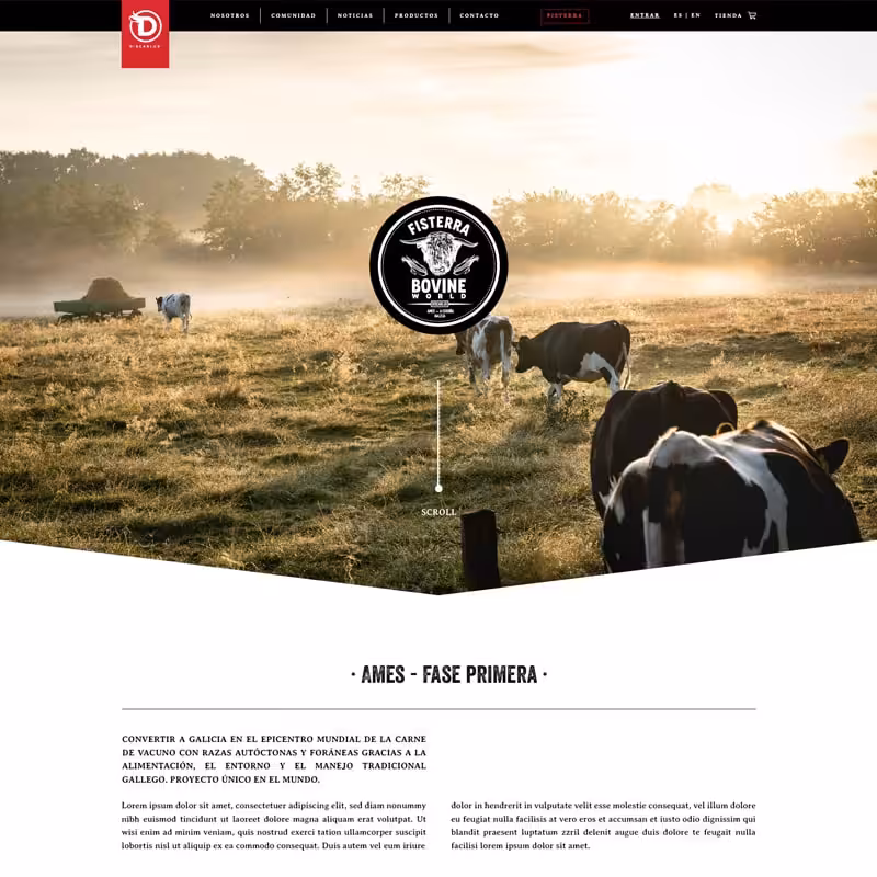 Sección Fisterra del proyecto web de Discarlux