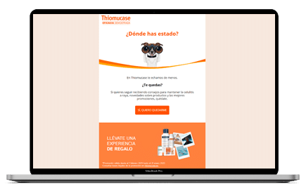 Caso de éxito en email marketing Albacete Campaña de email marketing de Thiomucase mostrada en un ordenador portátil