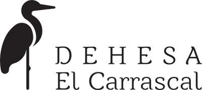 Dehesa El Carrascal, bodega de la Denominación de Origen Almansa