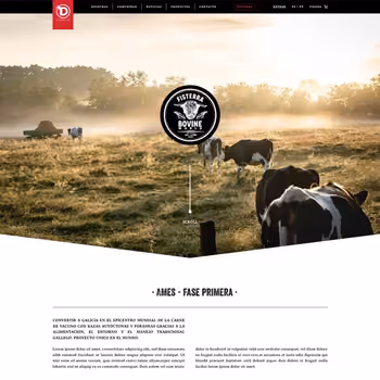 Discarlux Sección Fisterra del proyecto web de Discarlux